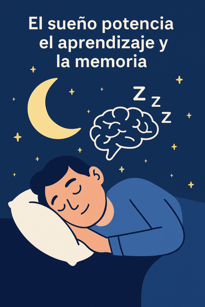 El sueño y el aprendizaje: por qué dormir mejora la memoria y la salud ...
